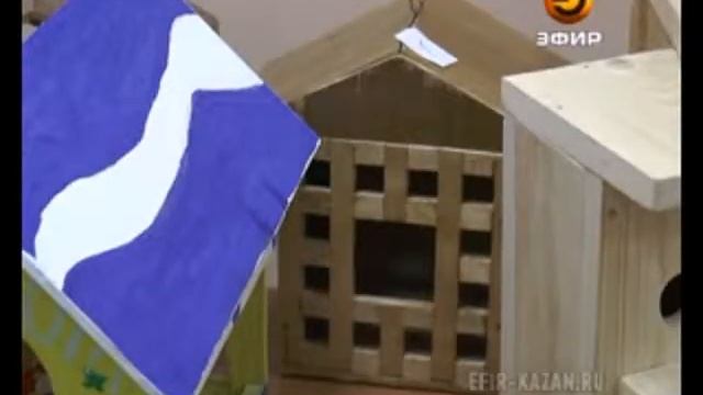 В казанском зооботсаде прошел праздник в честь Международного дня птиц смотреть онлайн