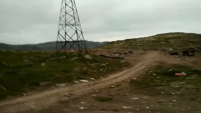 Медведи в Дальних Зеленцах. Часть 1.