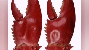 О пользе уроков музыки