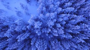 В. Кузьмин, "Золотая карусель" кавер, минус, караоке