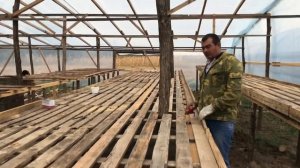 85/20 Как выглядят стеллажи для выращивания Лука на перо