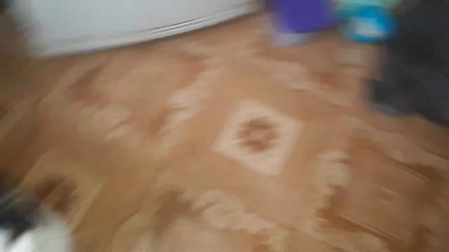 Егорушке никак не удается спрятаться от любящей мамочки Лилу! смотреть онлайн