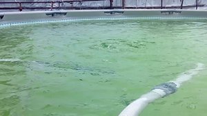 Воздуходувка для УЗВ.