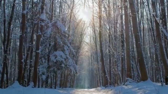 Maria Daines ~ Lullaby of Wolves смотреть онлайн