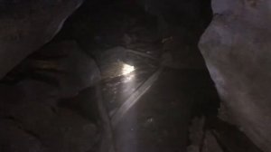 ИЩЕМ БИВНИ МАМОНТА/рог носорога на севере ЯКУТИИ/mammoth tusk found (YAKUTIA)
