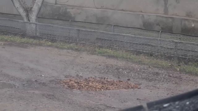 Ейск?Едем в Воронцовку. Обзор нового объекта по ремонту,  ул. Одесская. Чудо леганы...