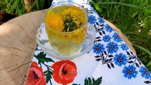Чай из одуванчиков! Очень ароматный и полезный чай из одуванчика