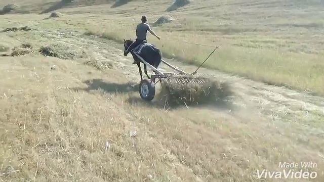 Конный косилька в Кыргызстане смотреть онлайн