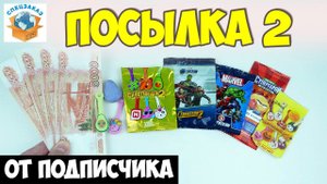 Скрепыши Деньги и Железные Фишки Гормити от Подписчика. Распаковка Обзор Посылки | СПЕЦЗАКАЗ