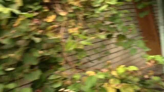 Самоделки.Стедикам.Судьба аккума.Днепр.Pavlovskij смотреть онлайн