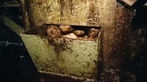 Как делают Сахар и откуда?