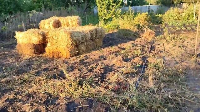 Купили дом в деревне / привезли солому