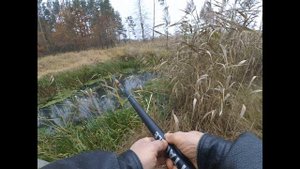 РыбалкА. Клёв окуня на боковой кивок, в ноябре.