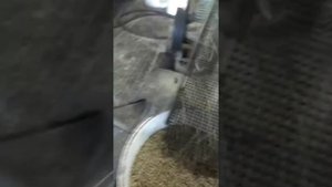 ГРАНУЛЯТОР  ДИАМЕТР МАТРИЦЫ 200 ДИАМЕТР ГРАНУЛЫ 4 МИЛЛИМЕТРА КОМБИКОРМ ДЛЯ КРОЛИКОВ