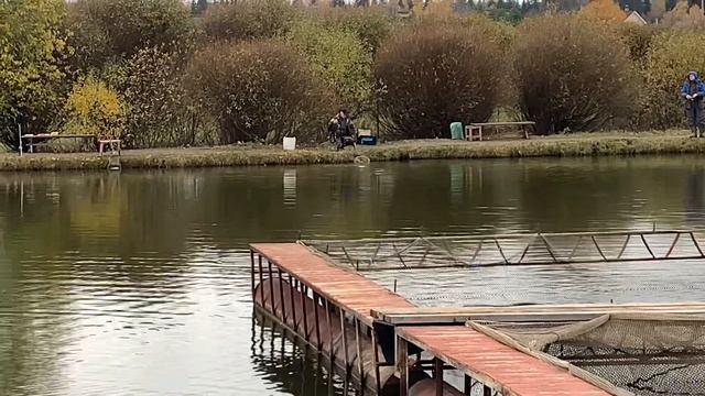 Рыболовный клуб «Зелёный берег» Поимки продолжаются…