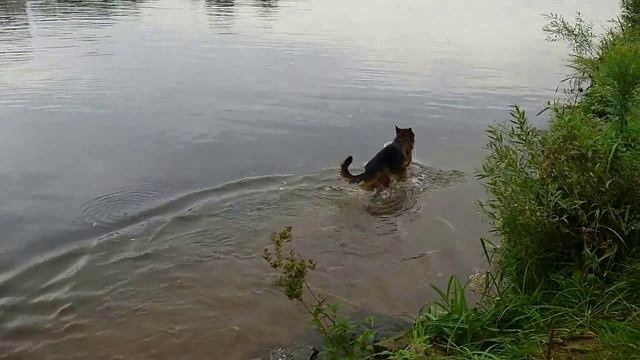 ЖАРКИЙ ЛЕТНИЙ ДЕНЬ смотреть онлайн