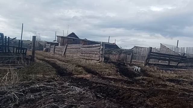 Т 40АМ Сделал доброе дело соседу смотреть онлайн