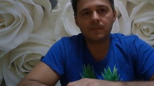 Сравнение среднерусской породы пчёл и карпатки