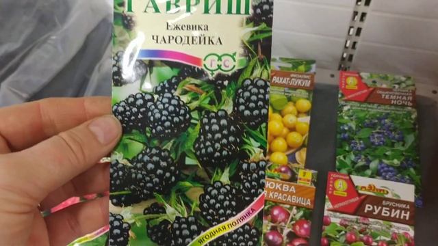 Ягоды из семян смотреть онлайн