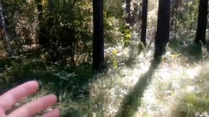 Поездка в Артыбаш в поход (на Телецкое озеро) с Омичами, АБВГАТ