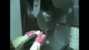 Пилы дисковая для разделки тушек птицы