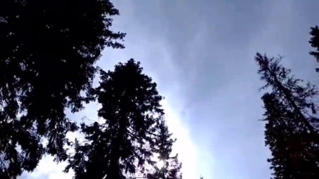 Песня за Душу берет! Хочется просто жить смотреть онлайн