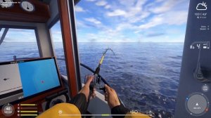 Трофейный окунь морской норвежский на патерностер. #рр4