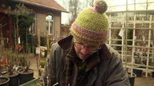 Obstbaum als Säule im Garten pflegen | James der Gärtner