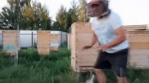 Как взвесить любой улей на пасеке без пасечных весов?