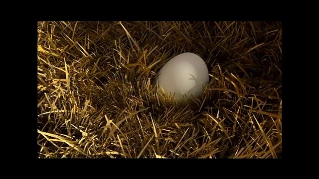 жынды тауык ( казакша мультик)