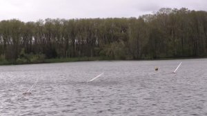 "Минская весна-24" F5-E 5-я гонка Флот А