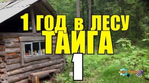 ДИКИЙ ГОД В ГЛУХОЙ ТАЙГЕ | ПОХОД В ТАЙГУ | ЖИЗНЬ В ЗИМОВЬЕ | ЛОДКА ДОЛБЛЕНКА 1 из 14