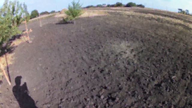 Сею рожь! 18 сентября 2016 г. - Shoyu rye! September 18, 2016 смотреть онлайн