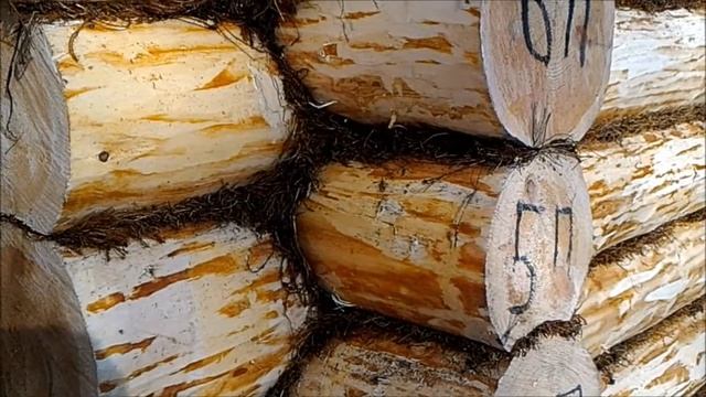 Как сохранить цвет бревна после сборки сруба. Чем обработать бревно и брус от потемнения древесины. смотреть онлайн