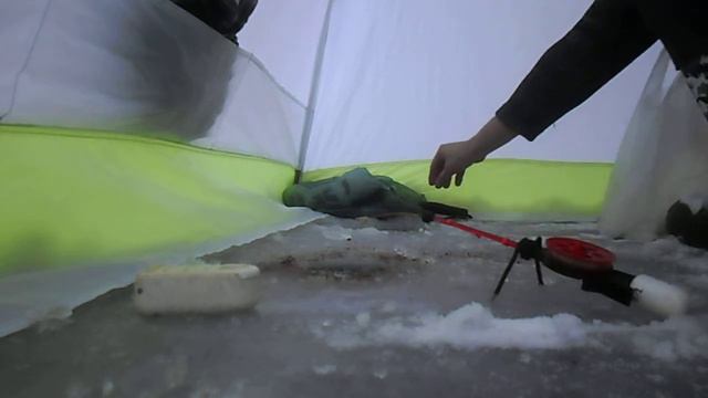 Плотва зимой 20.12.2016 смотреть онлайн