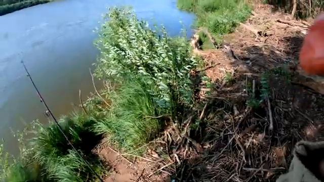 Рыбалка на Урале,Черноречье.НАЛОВИЛИ ГОЛАВЛЯ. смотреть онлайн