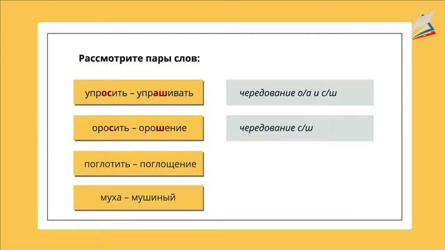 Варианты морфем. Морфемный анализ слова смотреть онлайн