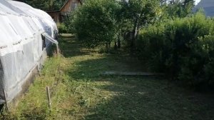Универсальная шпуля для лески на триммер. Стоит ли покупать?