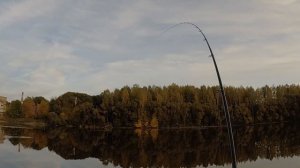 Ловля карпа осенью. Прикормка ЩЕГЛОВ