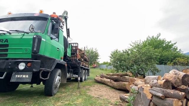 TATRA 815 | Fúrka dreva смотреть онлайн