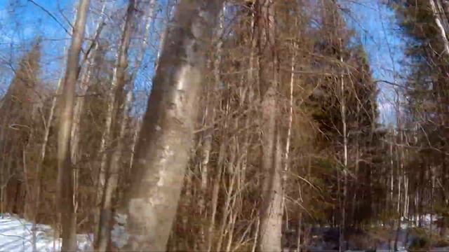 Vlog#6 Здравствуй родная дача