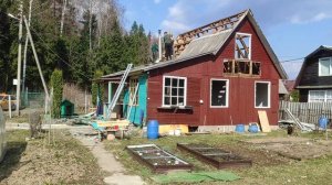 Разбираем старый дачный дом. День 10. Сажаем саженцы яблок. 4 сорта.