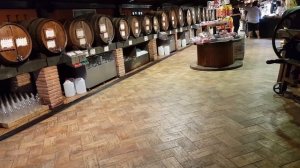 Влог Bodega lloret de mar винный погреб , Испания качественный отдых