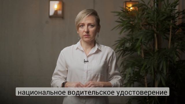 В Польше на своем авто: страховка, штрафы, замена водительского удостоверения на польское смотреть онлайн