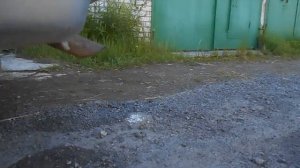 Картерные газы Форд Сиерра