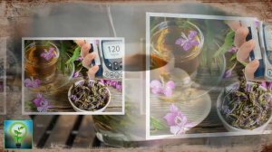 Напитки которые полезно пить при Сахарном Диабете Полезные советы для Здоровья