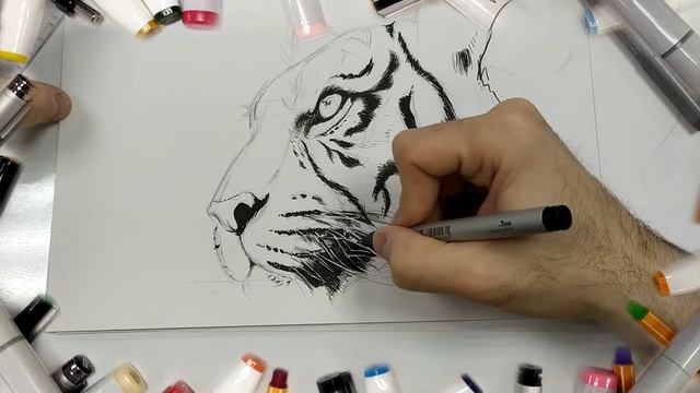рисуем Тигра / Tiger drawing смотреть онлайн