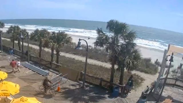 Вербное воскресенье 2022 - традиции великого церковного праздника смотреть онлайн