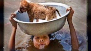 Твори добро