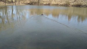ОДНОБУНКЕРНЫЙ КОРАБЛИК D13. ТЕСТ НА ВОДЕ.